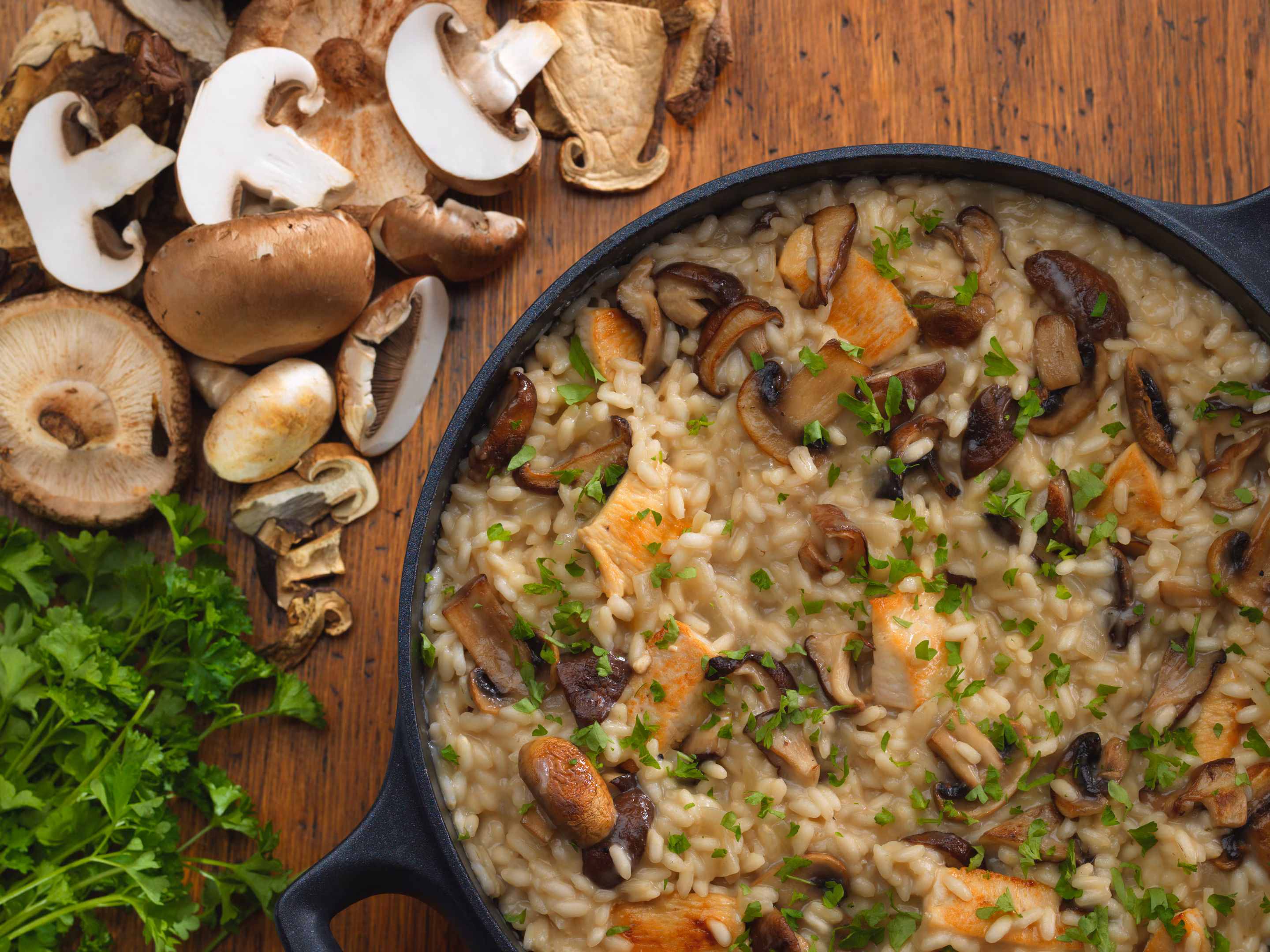 Mastering the Mammoth: Your Guide to the 32 Quart Stock Pot